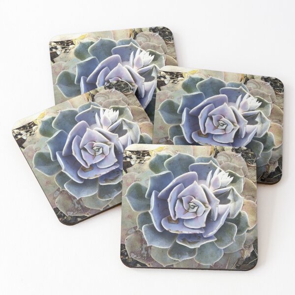 Item preview, Dappled Blue and Green Succulent designed and sold by homotropic.