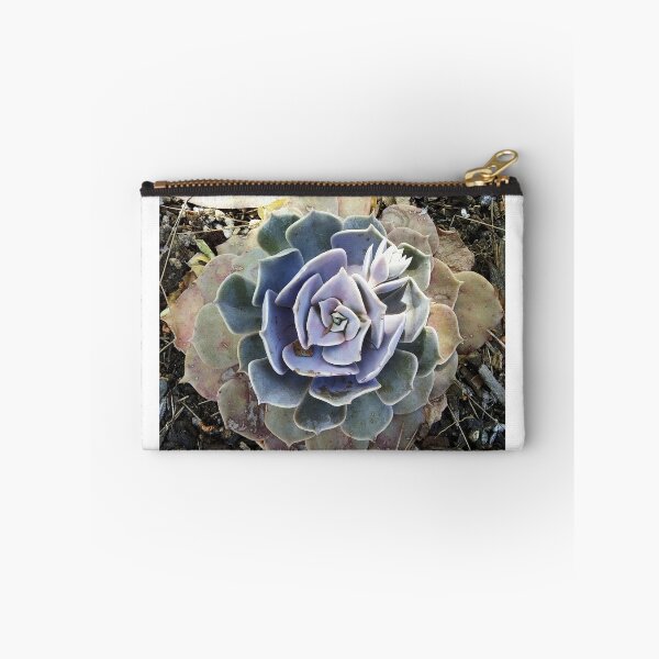 Item preview, Dappled Blue and Green Succulent designed and sold by homotropic.