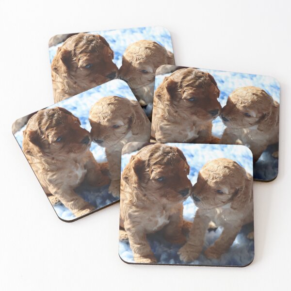 Item preview, Three Week Old Cockapoo Puppies designed and sold by Dom Rogerson.