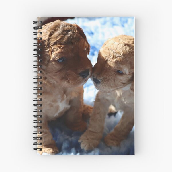 Item preview, Three Week Old Cockapoo Puppies designed and sold by Dom Rogerson.