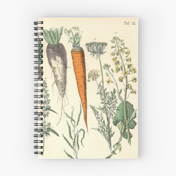 Item preview, Vegetable Print designed and sold by Lloyd Library & Museum.