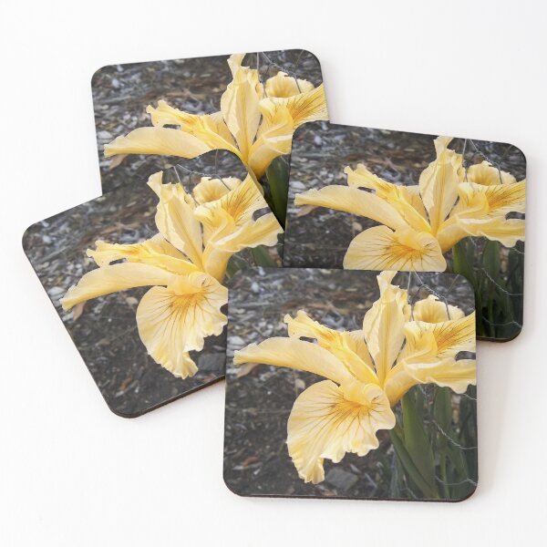 Item preview, Yellow Iris designed and sold by homotropic.