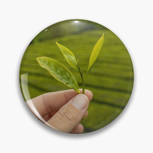 Item preview, Tea plantation Gorreana, Sao Miguel island, Azores travel destination. designed and sold by AylaHarbich.