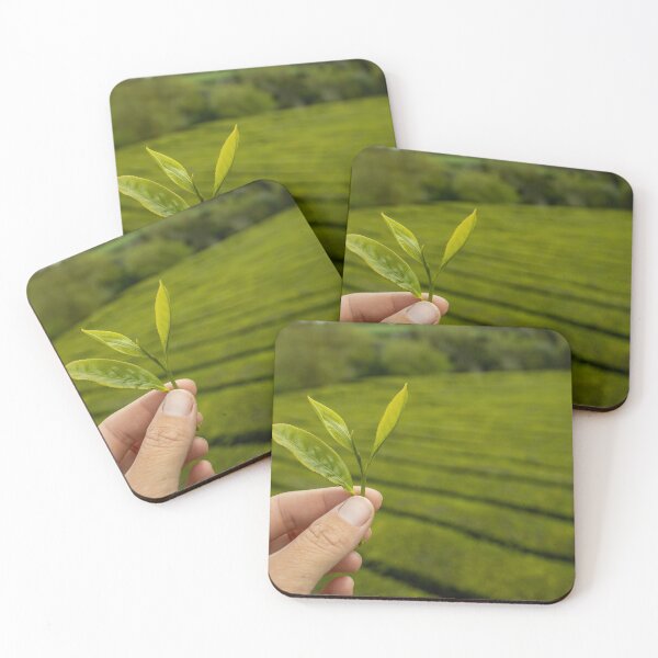 Item preview, Tea plantation Gorreana, Sao Miguel island, Azores travel destination. designed and sold by AylaHarbich.