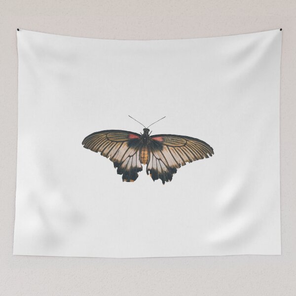 Item preview, Cute Butterfly designed and sold by FilipeFerreira.