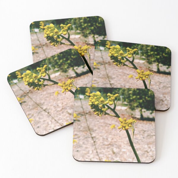 Item preview, Mustard Flower designed and sold by homotropic.