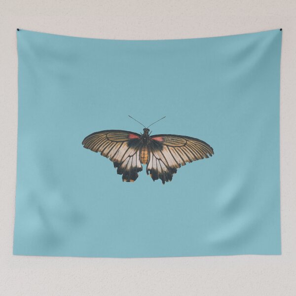 Item preview, Cute Butterfly (Blue BG) designed and sold by FilipeFerreira.