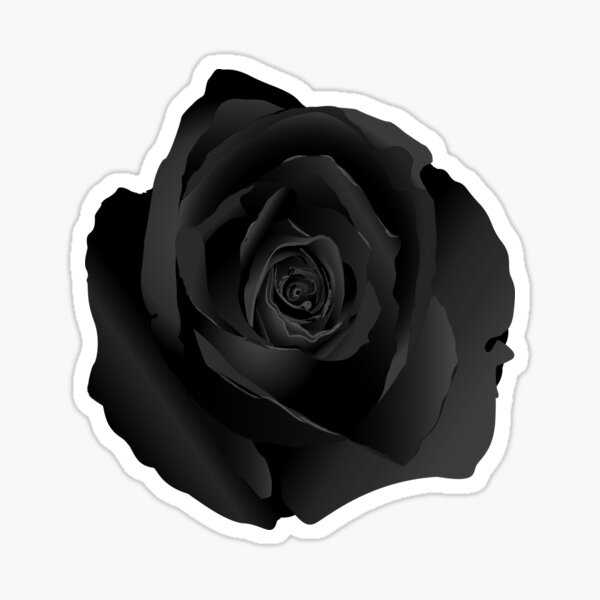 ebony rose flower