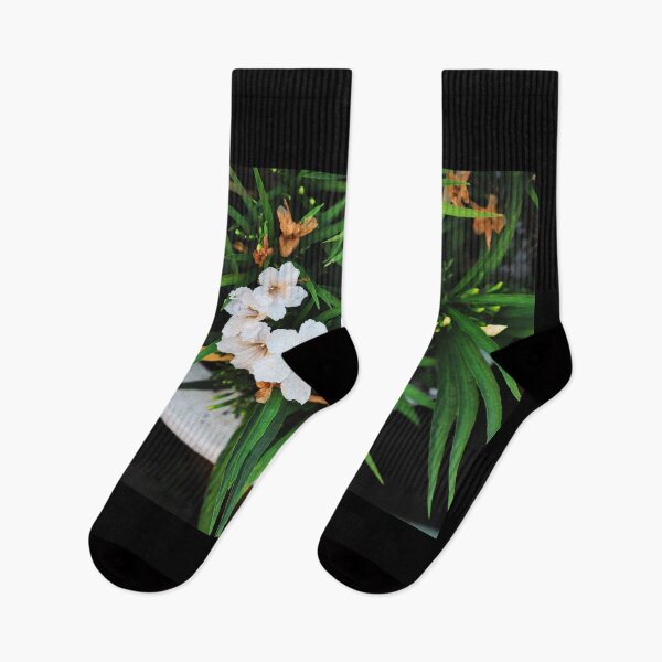 Item preview, A bunch of white Ruellia simplex, the Mexican petunia, Mexican bluebell or Britton's wild petunia on tree in nature designed and sold by FCEalin.