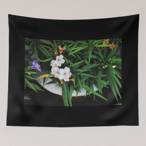 Item preview, A bunch of white Ruellia simplex, the Mexican petunia, Mexican bluebell or Britton's wild petunia on tree in nature designed and sold by FCEalin.
