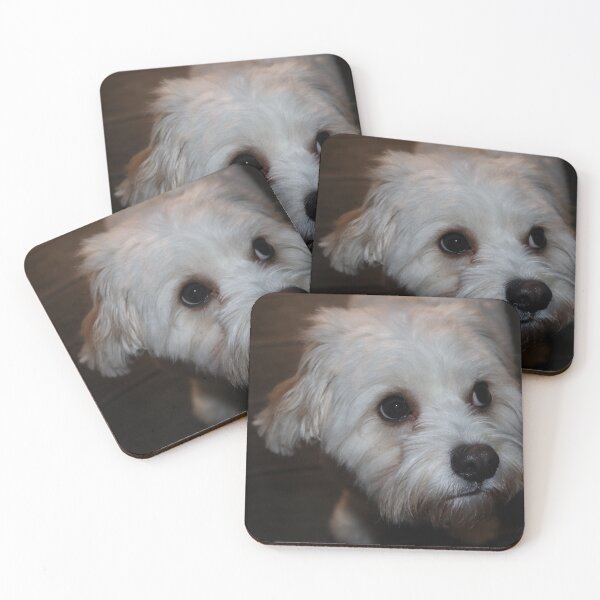 Item preview, Fergie The Cavachon Dog designed and sold by Dom Rogerson.