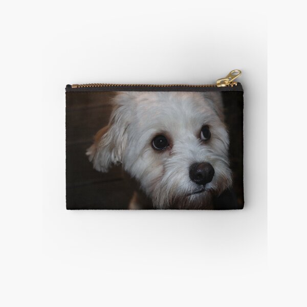 Item preview, Fergie The Cavachon Dog designed and sold by Dom Rogerson.