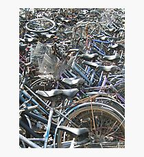 A Field of Bicycles Photographic Print