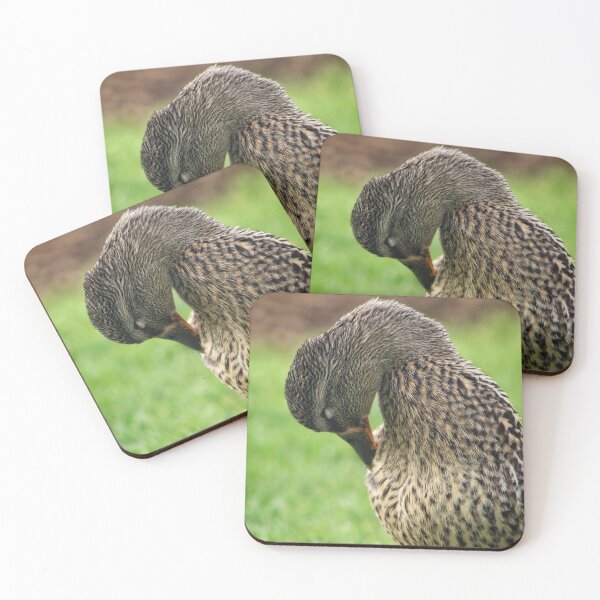 Item preview, Brown Mallard  designed and sold by JMVisuals28.