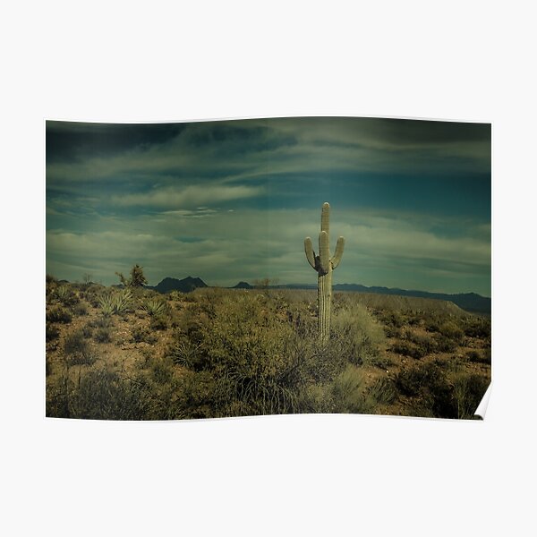 The Lone Cactus Dragan Light Poster