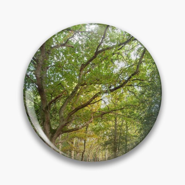 Item preview, Beautiful big old Beech tree designed and sold by CyaniRose.