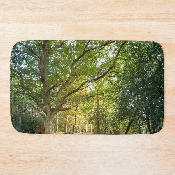 Item preview, Beautiful big old Beech tree designed and sold by CyaniRose.