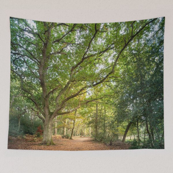 Item preview, Beautiful big old Beech tree designed and sold by CyaniRose.