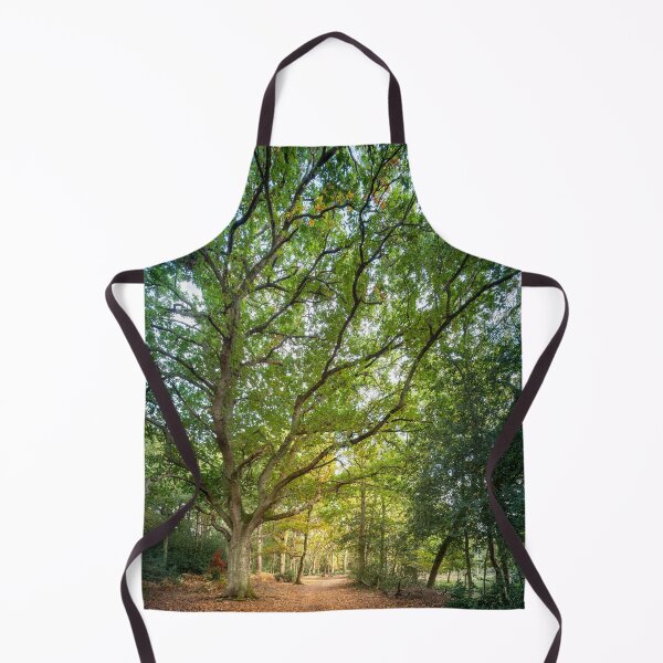 Item preview, Beautiful big old Beech tree designed and sold by CyaniRose.