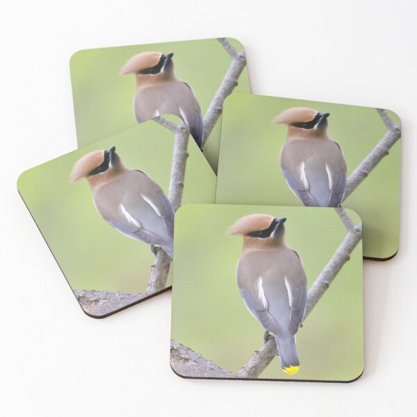 Item preview, Cedar waxing  designed and sold by slgphotography.
