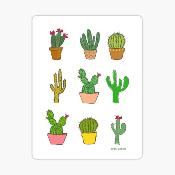 Colorful cactus Sticker
