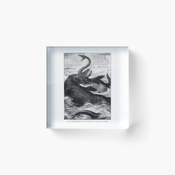 Item preview, The Ichthyosaurus and Plesiosaurus in Mortal Combat designed and sold by hausofwheat.