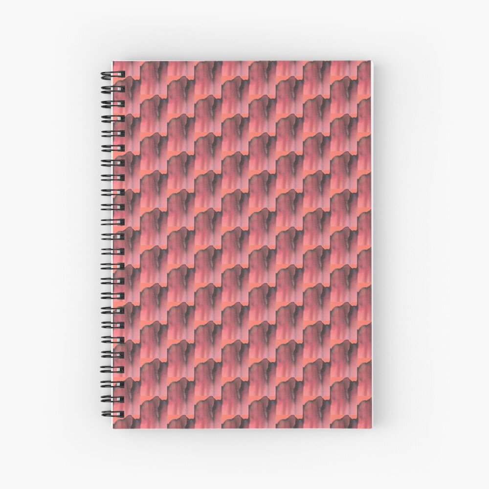 The Mountain Spiral Notebook