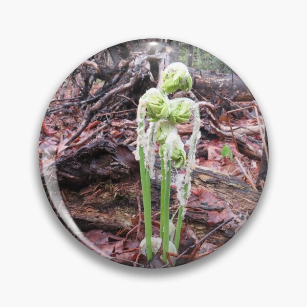 Item preview, Just What Do You See? ..... a little bit of ugh....or springtime ferns!!! designed and sold by Monica-Stroud.