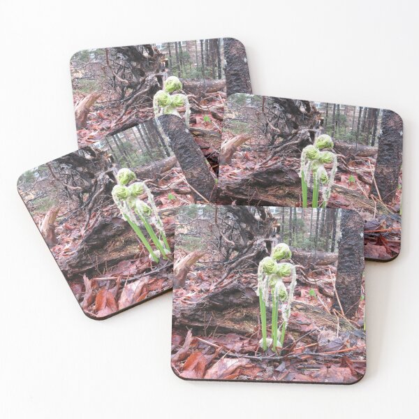 Item preview, Just What Do You See? ..... a little bit of ugh....or springtime ferns!!! designed and sold by Monica-Stroud.
