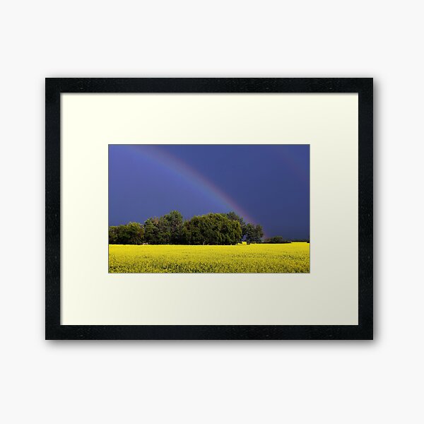 Item preview, Trees, A Canola Field and a Rainbow designed and sold by Don Arsenault.