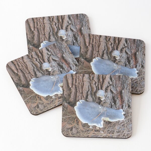 Item preview, Bluish mushroom designed and sold by greentiger1.