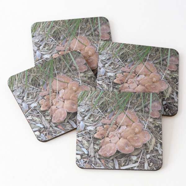 Item preview, Orange brown mushroom clusters designed and sold by greentiger1.