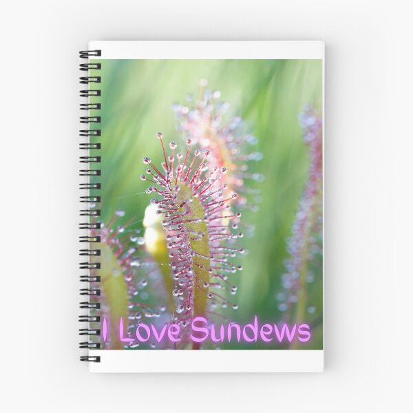 Item preview, I Love Sundews designed and sold by Wandas-World.