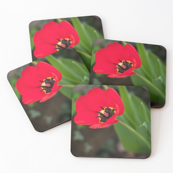 Item preview, Red Tulip  designed and sold by Dimo Petrov.