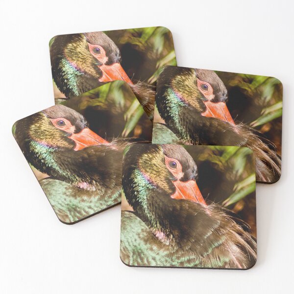 Item preview, Black stork designed and sold by Dimo Petrov.