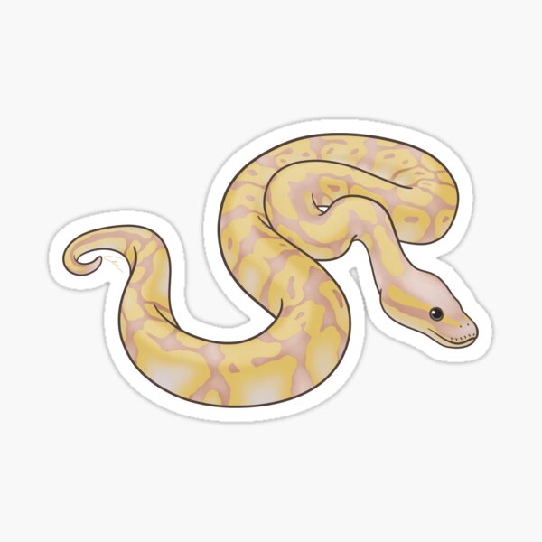 Item preview, Banana Ball Python designed and sold by anacecilia.