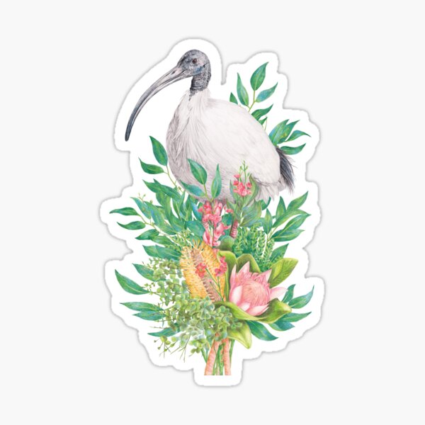 Item preview, Bin Chicken/Australian White Ibis || Floral Birds designed and sold by Kayla Reay.
