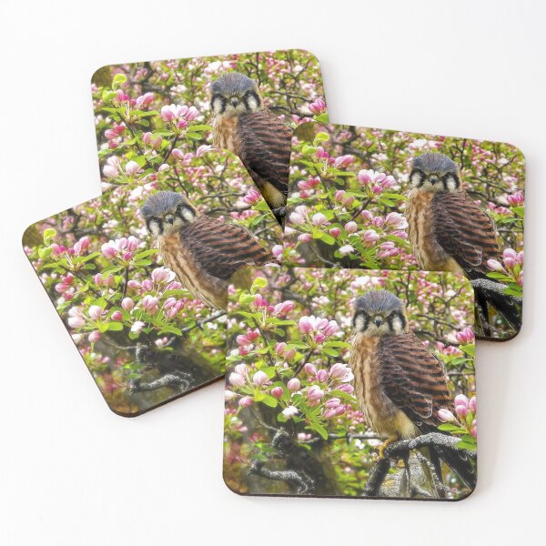 Item preview, Beautiful Falcon designed and sold by passion4photos.