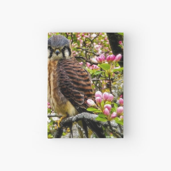 Item preview, Beautiful Falcon designed and sold by passion4photos.