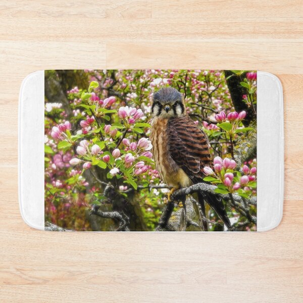 Item preview, Beautiful Falcon designed and sold by passion4photos.