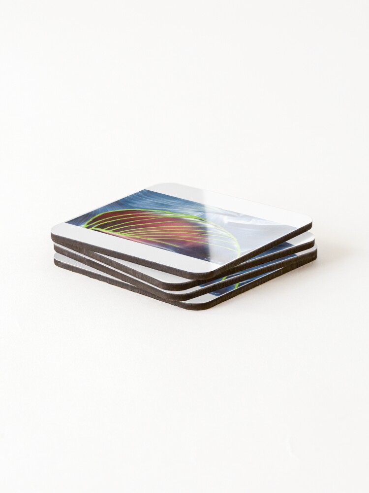 Thumbnail 4 of 5, Coasters (Set of 4), Shell designed and sold by TrueCreationsCA.