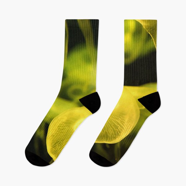 Item preview, Jellyfish animal that is found in ocean also called as Moon Jellyfish. Glowing yellow color on black background designed and sold by Artsy Boulevard.