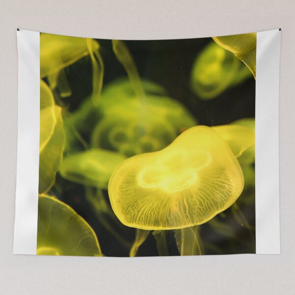Item preview, Jellyfish animal that is found in ocean also called as Moon Jellyfish. Glowing yellow color on black background designed and sold by Artsy Boulevard.