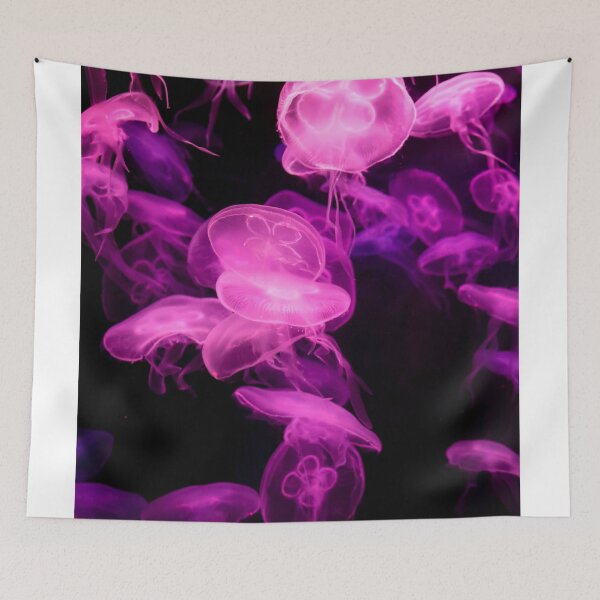 Item preview, Jellyfish animal that is found in ocean also called as Moon Jellyfish. Glowing pink color on black background designed and sold by Artsy Boulevard.