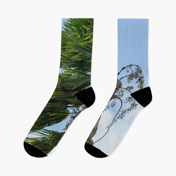 Item preview, Palm trees are blown by the strong wind during storm or hurricane designed and sold by Artsy Boulevard.