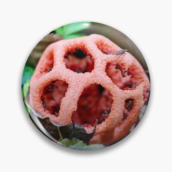 Item preview, Red Cage Fungus designed and sold by Emmaline Jones.