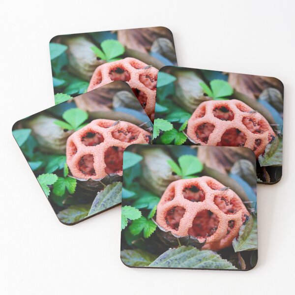 Item preview, Red Cage Fungus designed and sold by Emmaline Jones.