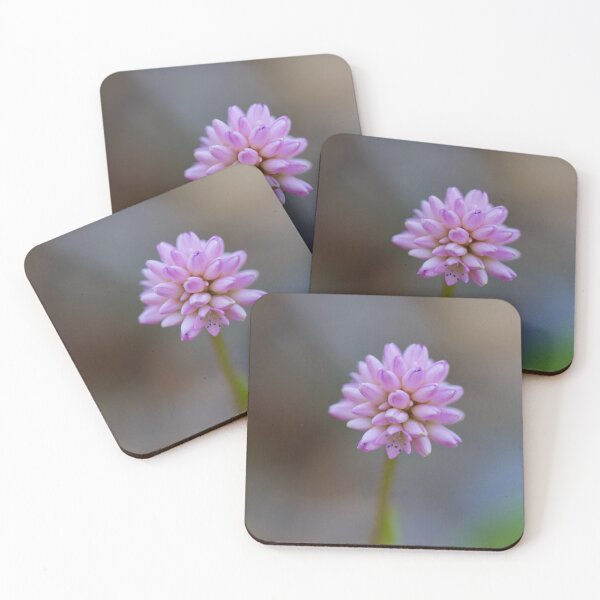 Item preview, Pink Knotweed designed and sold by Emmaline Jones.