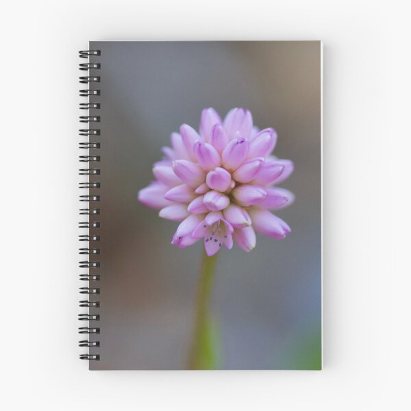 Item preview, Pink Knotweed designed and sold by Emmaline Jones.