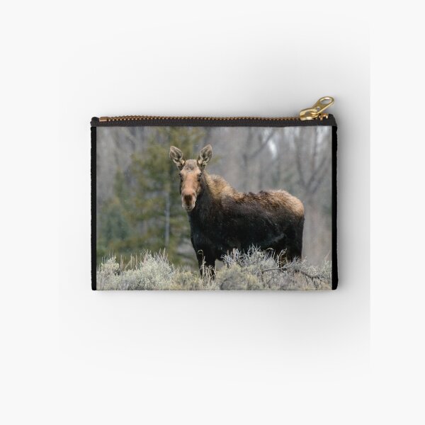 Item preview, Shiras Moose designed and sold by Nicholas Blackwell.